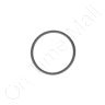 DriSteem 300400-006 O-Ring