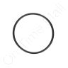 DriSteem 550028-005 O-Ring