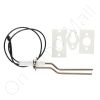 DriSteem 184425-001 Flame Sense Assembly