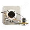 DriSteem 184443-100 Burner Assembly Kit NG