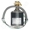 DriSteem 187609-401 Pump Assembly