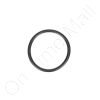 DriSteem 194811-024 Steam Cylinder