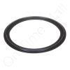 DriSteem 207002-300 Gasket