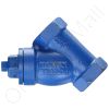 DriSteem 300100-002 Y Strainer