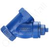 DriSteem 300100-002 Y Strainer