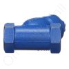 DriSteem 300100-002 Y Strainer