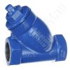 DriSteem 300100-005 Y Strainer