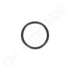 DriSteem 300400-007 O-Ring