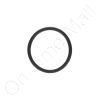 DriSteem 300400-010 O-Ring