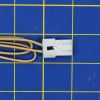 DriSteem 405718 Ignitor