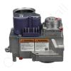 DriSteem 405800-007 Gas Valve