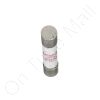 DriSteem 406720-050 Fuse