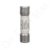 DriSteem 406725-0025 Fuse