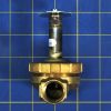 DriSteem 501700-001 Steam Valve