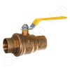 DriSteem 505011 Valve
