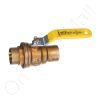 DriSteem 505011 Valve