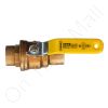 DriSteem 505011 Valve