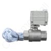 DriSteem 505077-005 Valve