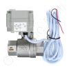 DriSteem 505077-006 Valve