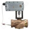 DriSteem 520200-028 Steam Valve