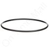 DriSteem 550028-004 O-Ring