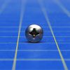 DriSteem 700300-013 Screw