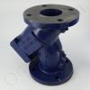 DriSteem 300100-009 Y Strainer