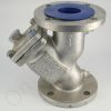 DriSteem 300155-003 Y Strainer