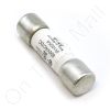 DriSteem 406700-025 Fuse