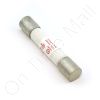 DriSteem 406720-040 Fuse