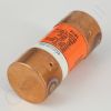 DriSteem 406755-007 Fuse
