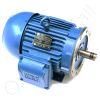 DriSteem 407025-002 Motor