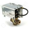 DriSteem 520203-007 Steam Valve