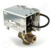 DriSteem 520203-008 Steam Valve