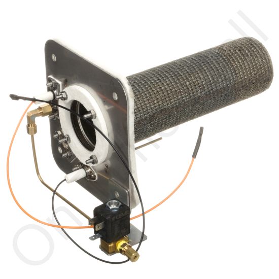 DriSteem 184443-100 Burner Assembly Kit NG