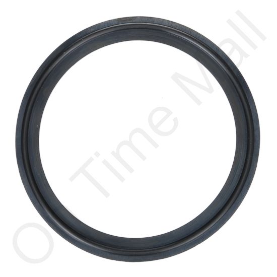 DriSteem 207002-300 Gasket