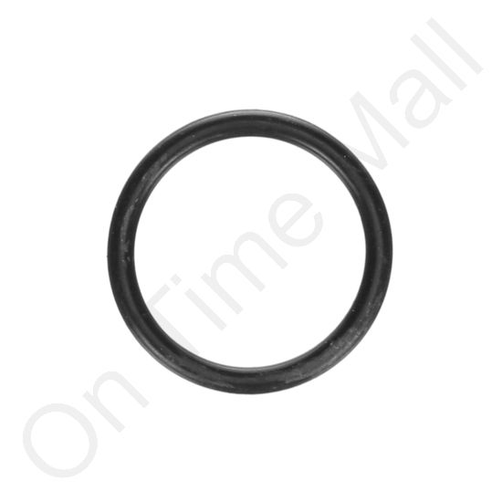 DriSteem 300400-008 O-Ring