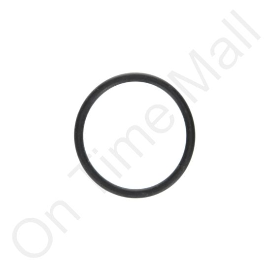DriSteem 300400-010 O-Ring