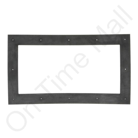 DriSteem 308220-101 Probe Gasket