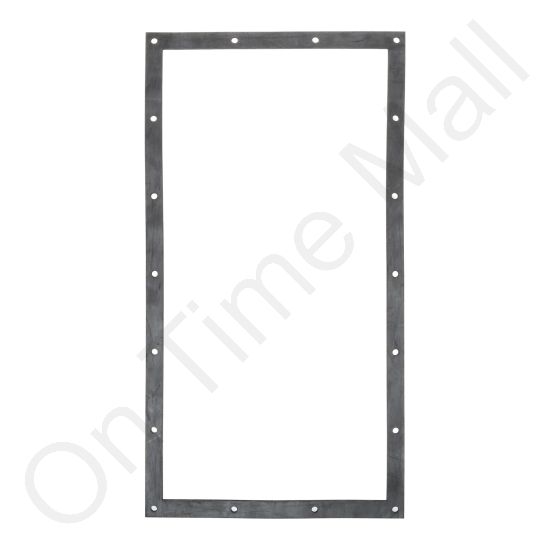 DriSteem 308235-105 Cleanout Gasket