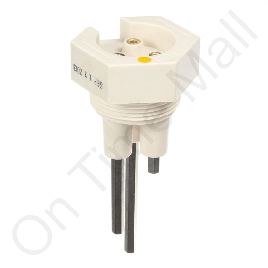 DriSteem 406303-001 Probe Assembly