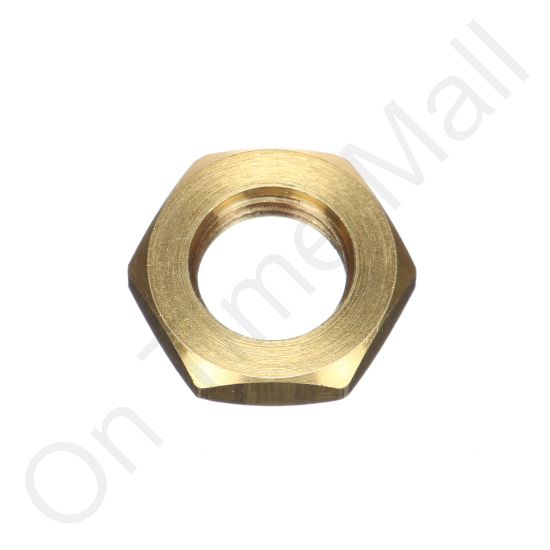 DriSteem 409602-001 Nut