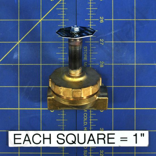 DriSteem 501700-001 Steam Valve