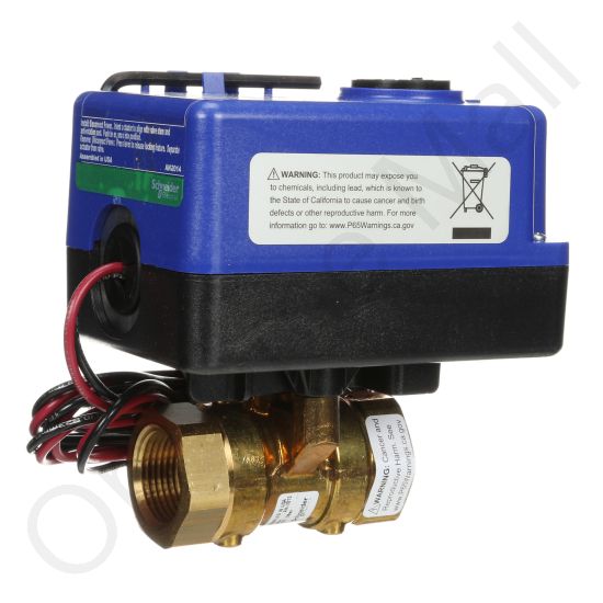 DriSteem 505401-001 Valve