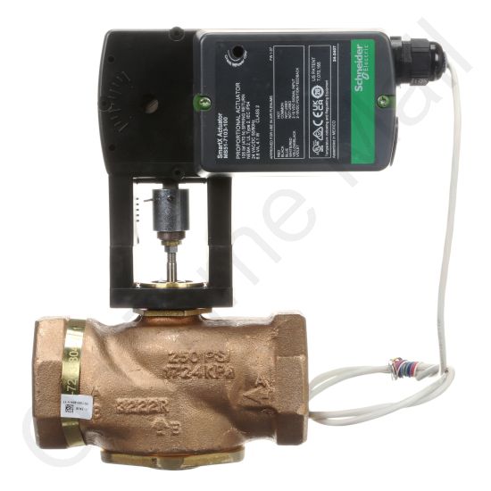 DriSteem 520200-028 Steam Valve