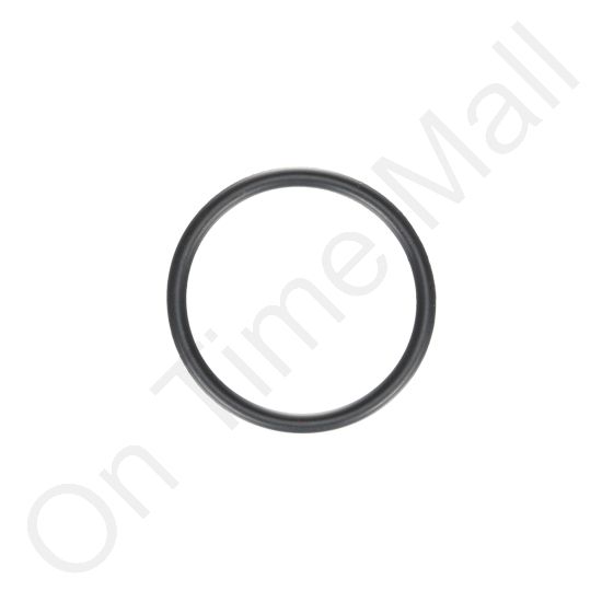DriSteem 530001-044 O-Ring