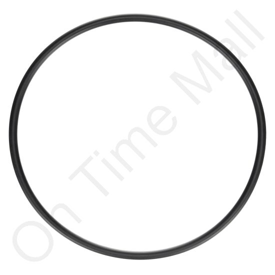 DriSteem 550028-004 O-Ring