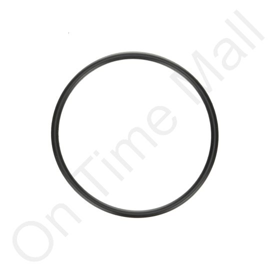 DriSteem 550028-005 O-Ring