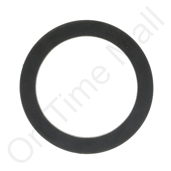 DriSteem 600697-002 Probe Gasket
