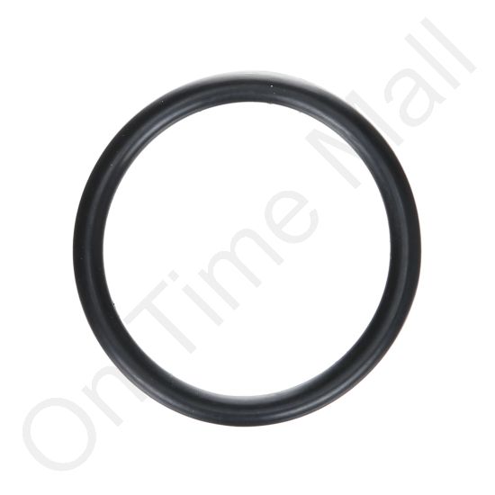 DriSteem 600854 Oring